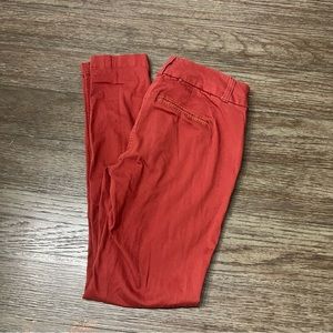 Dictionary Women's Pants Eva Straight Leg Orange Red